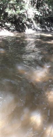 Chácara 3 hectares á venda beira do Rio dos Peixes Cuiabá - Foto 2