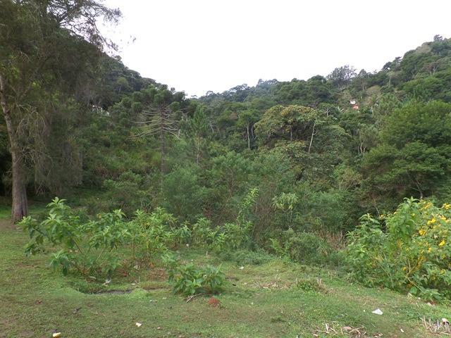 064 - Área de Terras nas Montanhas - Teresópolis - R.J - Foto 2