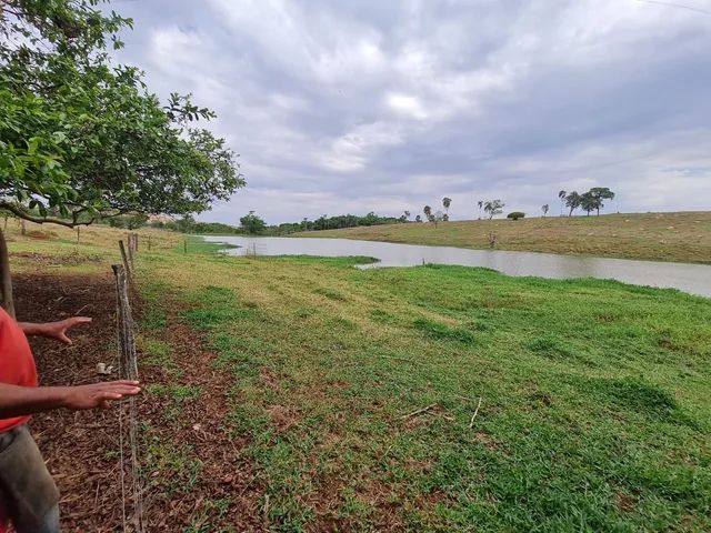 Fazenda de 15 alqueires  em Anápolis - Foto 5