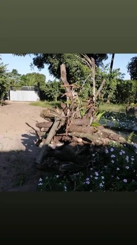 VENDO SÍTIO EM MURITIBINHA (SANTO ANTÔNIO DE JESUS)