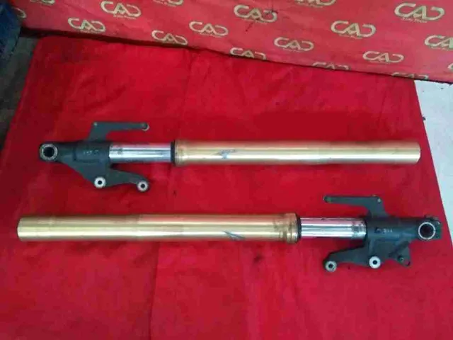 Garfos dianteiros suspensão amortecedor Triumph Street 675
