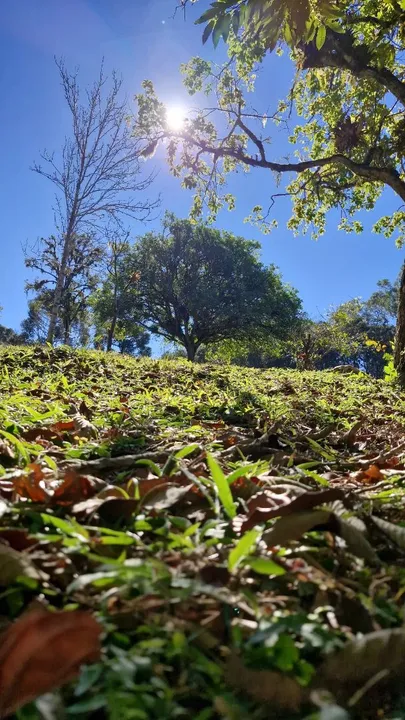 Vendo ou troco Sitio em.tijucas do sul Pr
