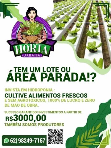 Montagem e consultoria em hidroponia  - Foto 5