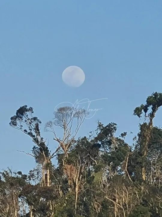Sitio em Marechal Floriano com Casa - Foto 8