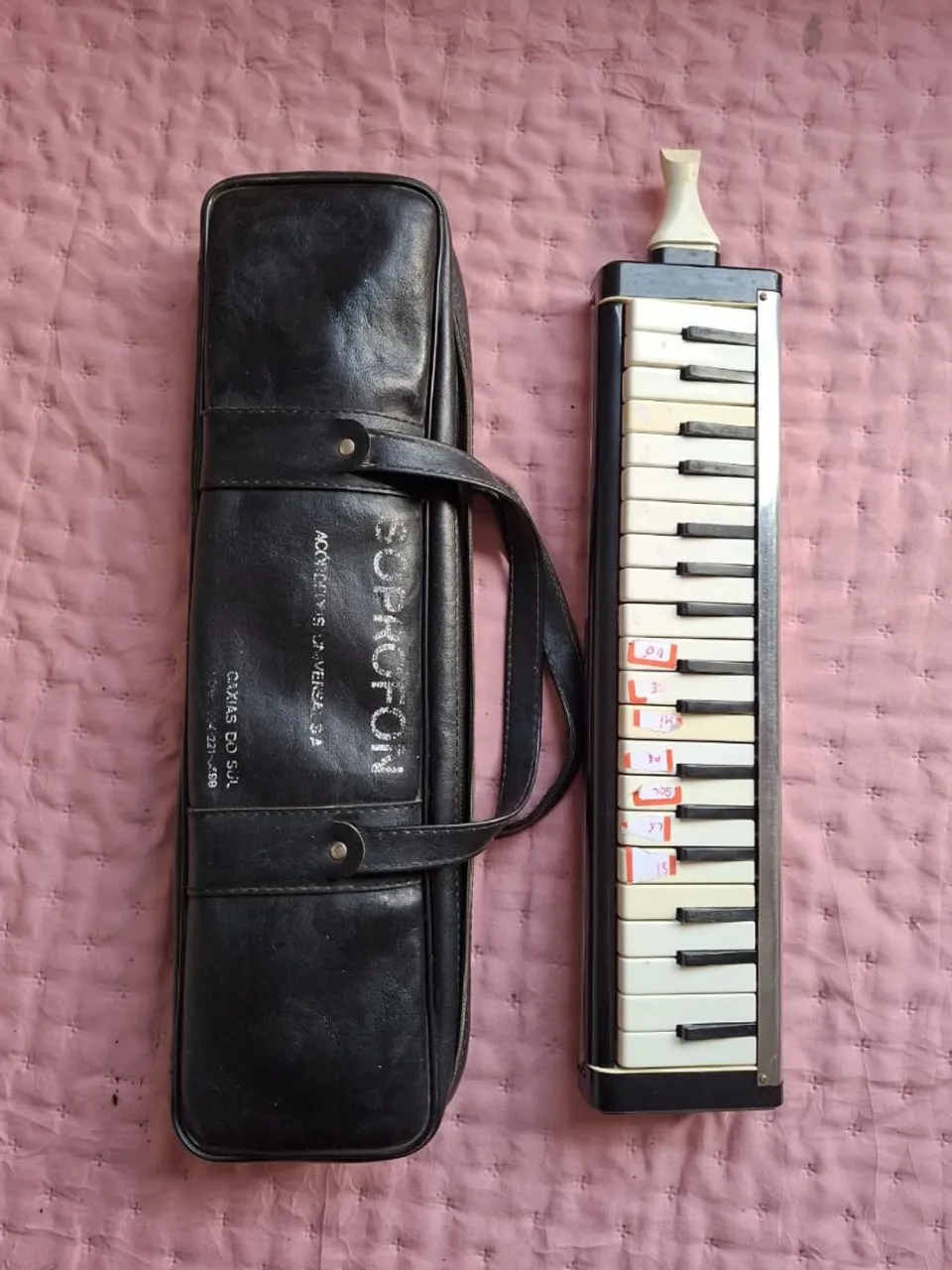 Escaleta Melodica Soprano com Case - Instrumento Musical
