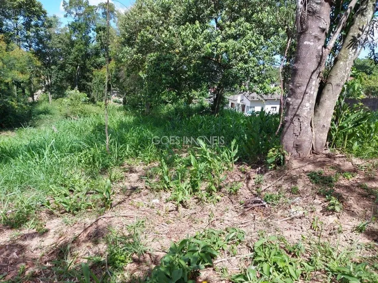 Terreno à Venda em Santo Antônio - Criciúma - Foto 5