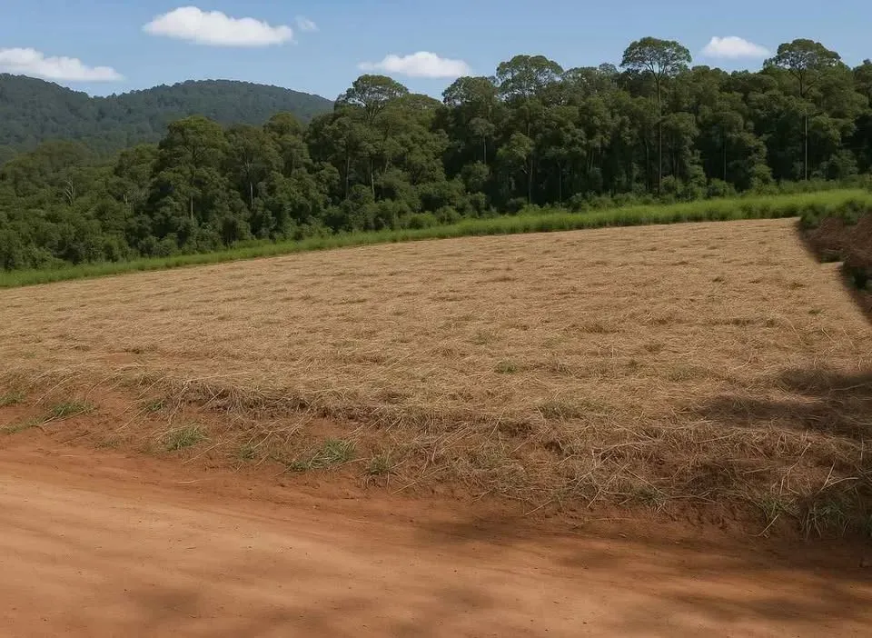 Imóvel para venda possui 500 metros quadrados em Lageadinho - Ibiúna - SP