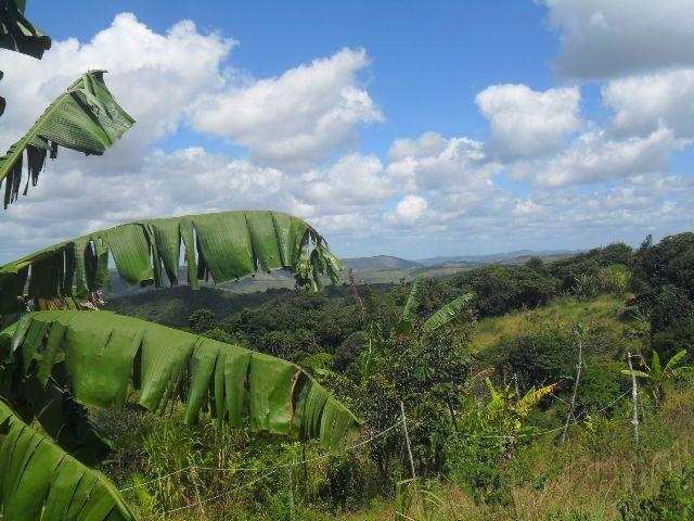 Fazenda Santana - Gravatá/PE - Zona Rural - Foto 2