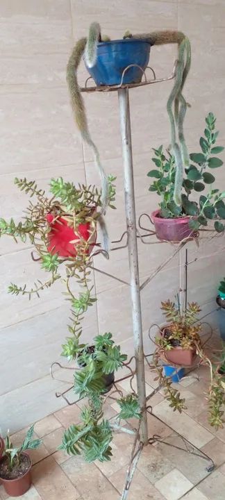 Estou vendendo vários vasos e suporte plantas 