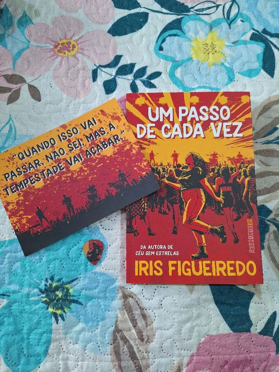 (Desapego de Livros) Um Passo de Cada Vez - Iris Figueiredo (Com brindes)