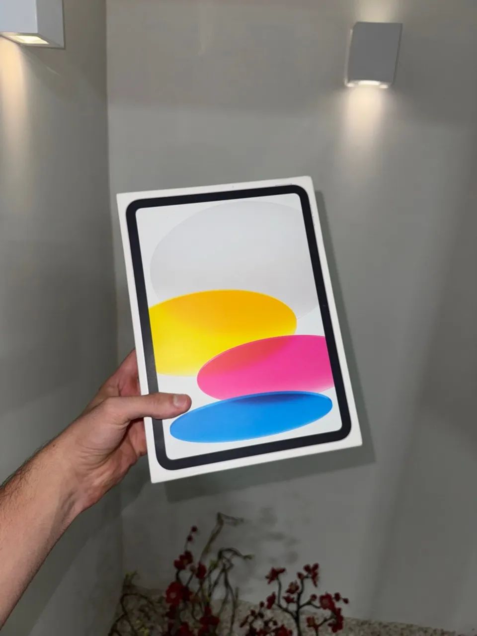 iPad 10 64Gb Lacrado 