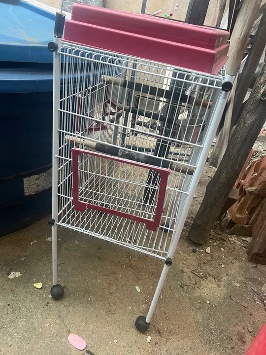 Vendo gaiola - Foto 2