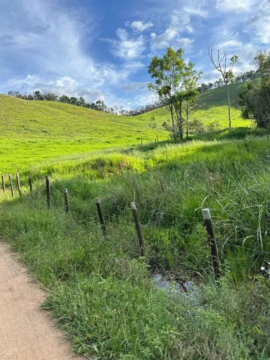 Sítio 70 hectares Juiz de Fora Mg 1,4k - Foto 9