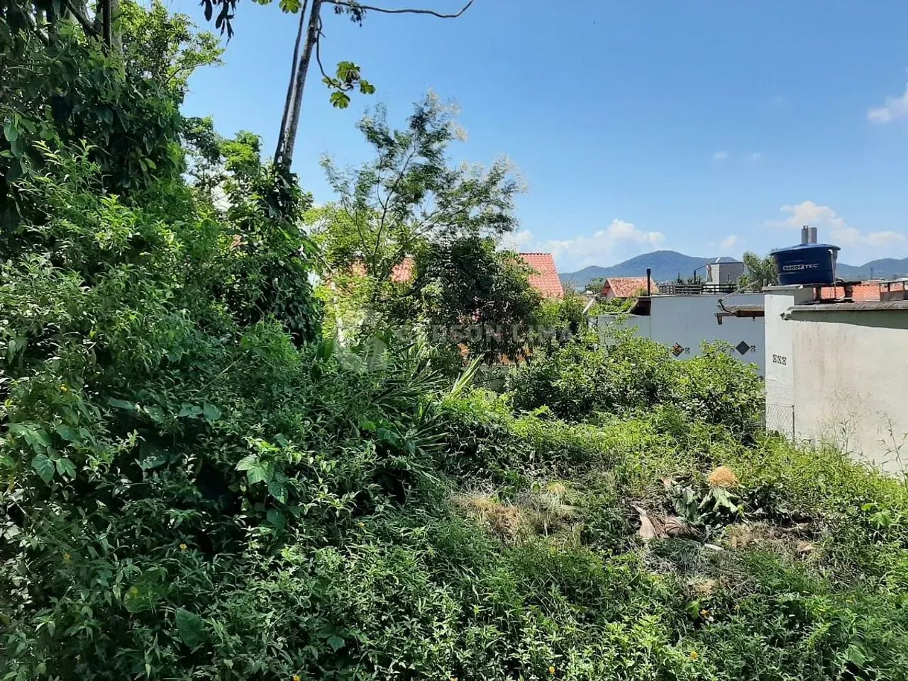 Terreno - Quilombo - Foto 2