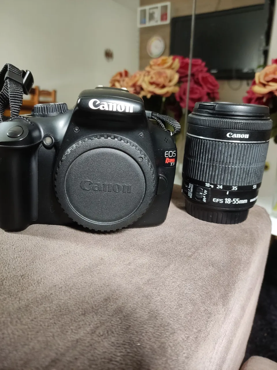 Canon t3