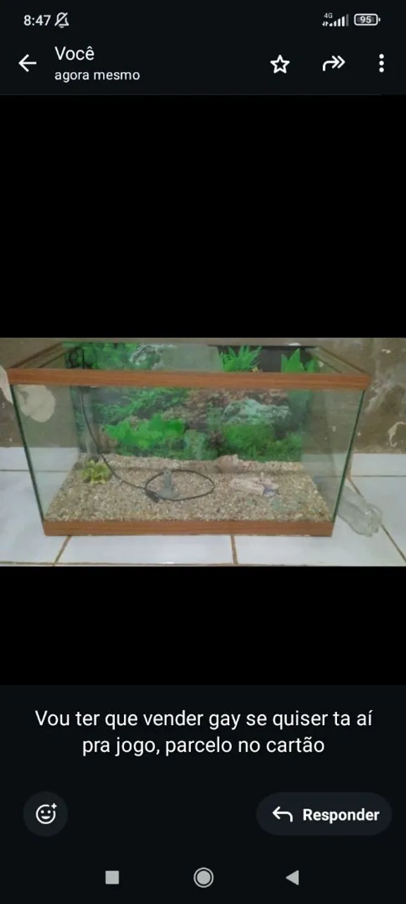 Aquário para Peixes completo, capacidade para 100 litros