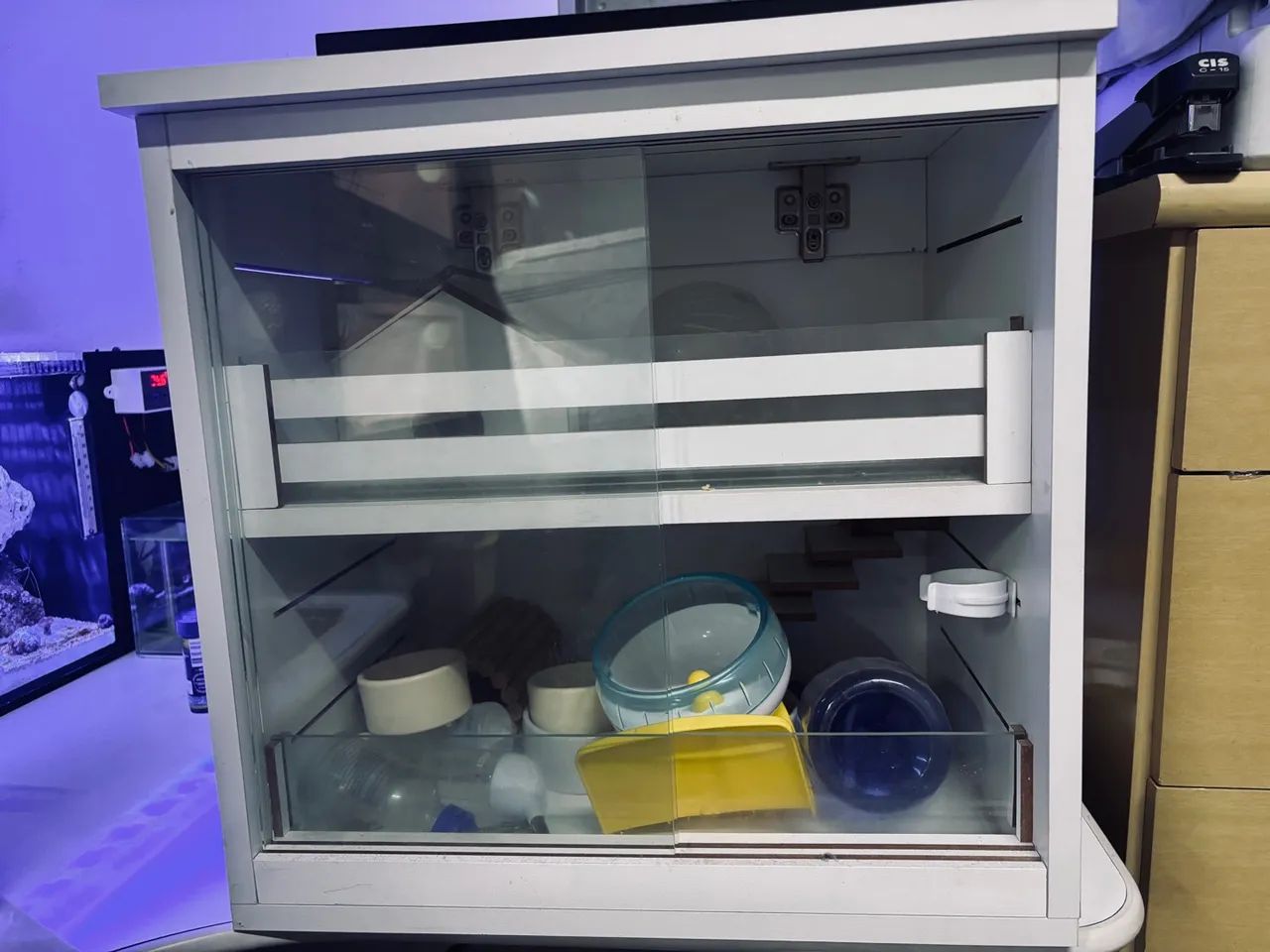 Terrario para hamister e roedores