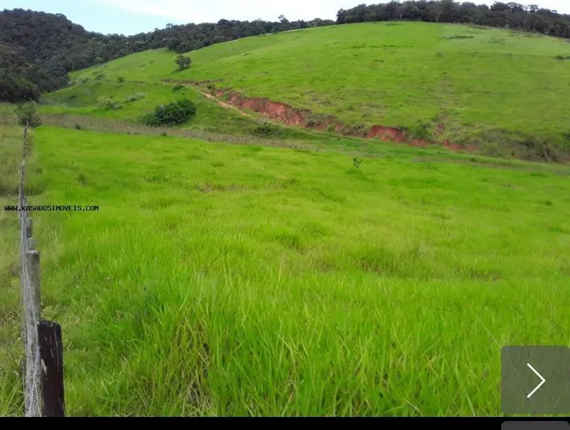 Sitio no Imburo com 18 Alqueires - Foto 4