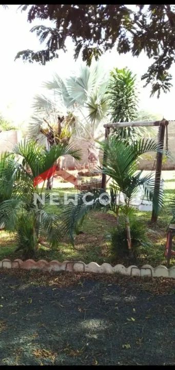 Chácara em Área Rural - Área Rural de Uberlândia - Uberlândia/MG - Foto 2