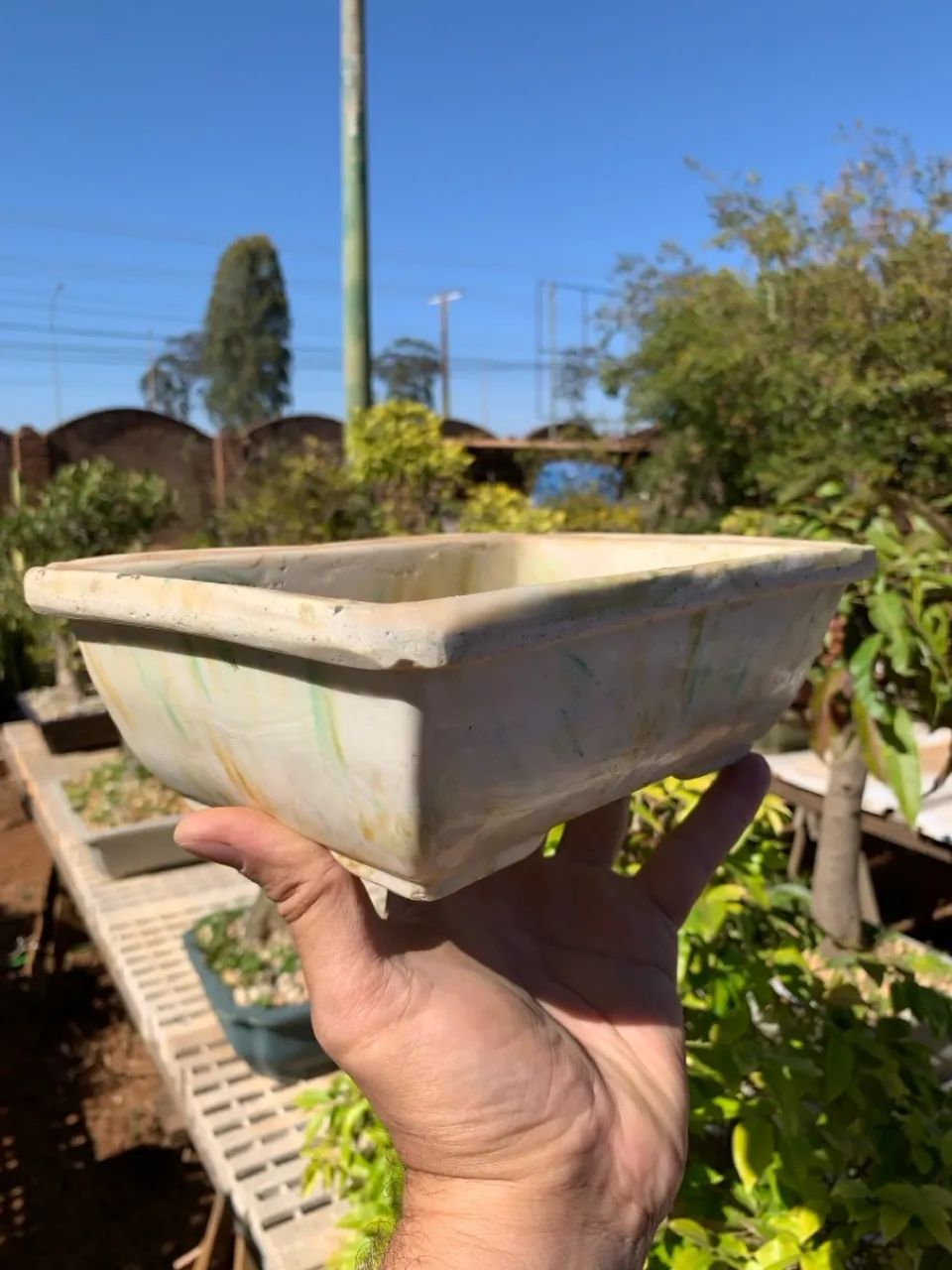 Vaso Retangular para bonsai - Foto 6