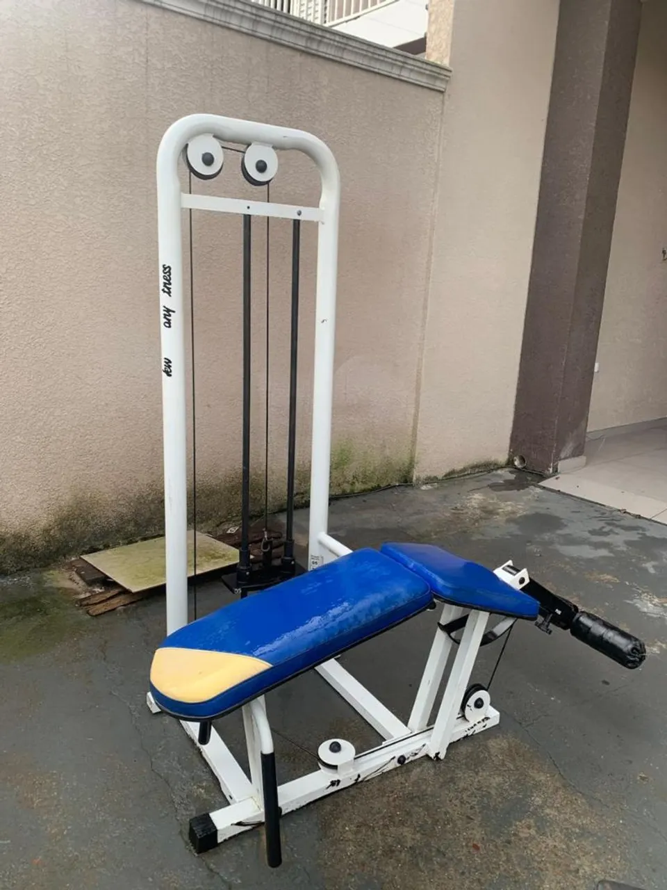 Aparelho de Musculação Profissional - mesa flexora new company