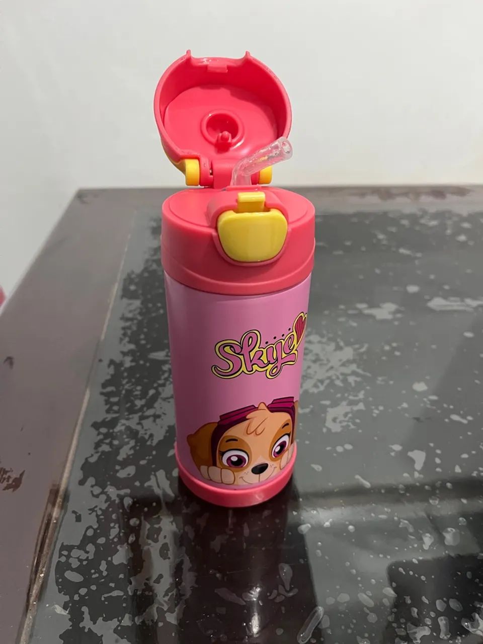 Garrafa térmica infantil Top Handle Skye - Patrulha Canina - Foto 4