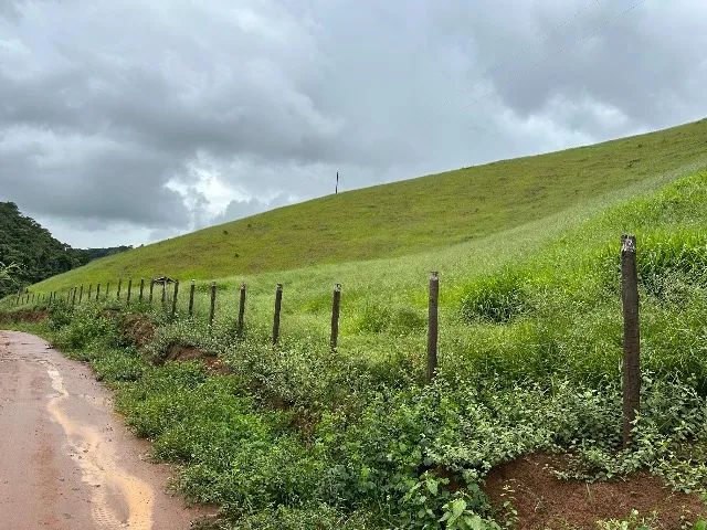 Sítio 70 hectares Juiz de Fora Mg 1,4k - Foto 12