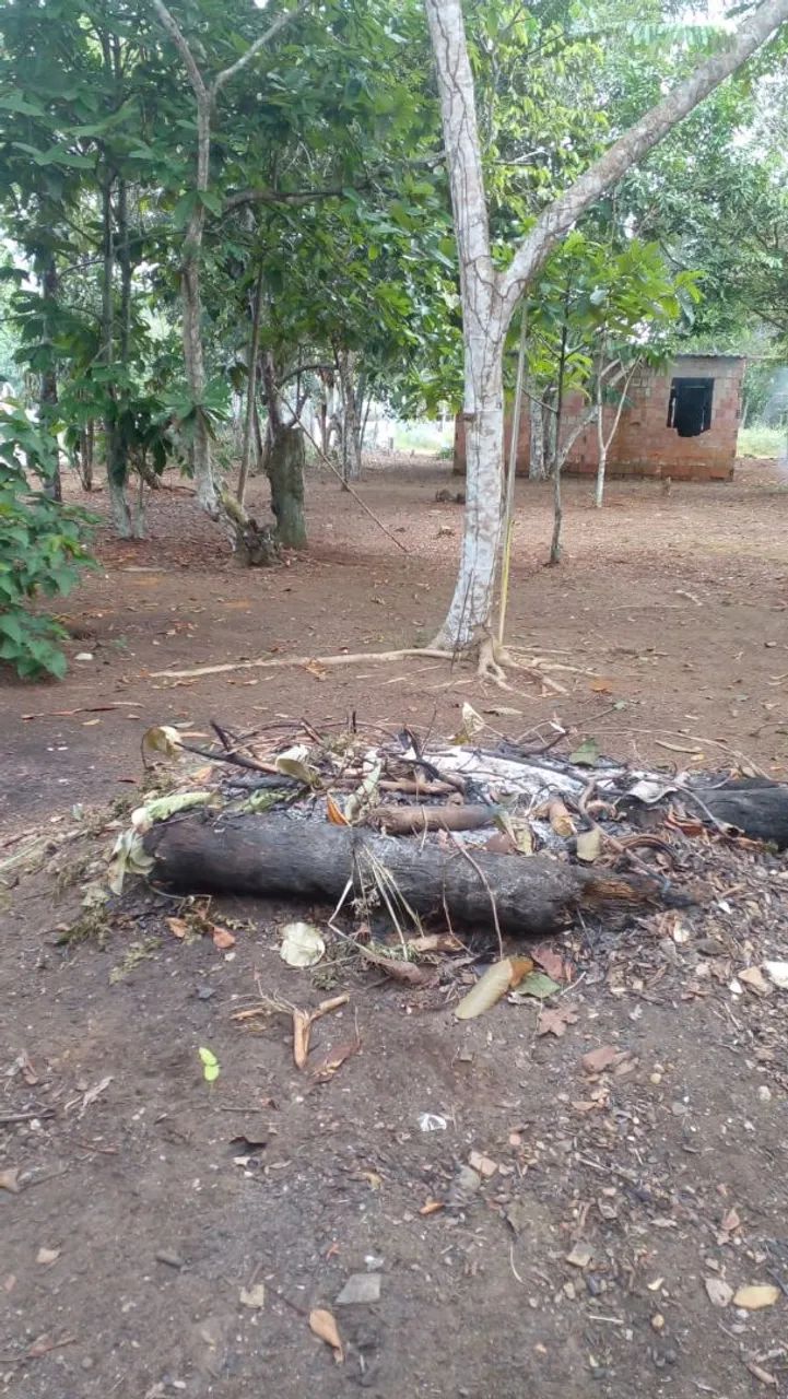 Lote com 800 m2 em Açutuba  - Foto 4