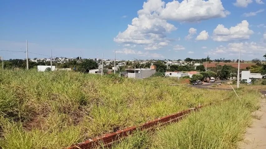 Terreno a Venda em Porto Rico- PR  - Foto 4