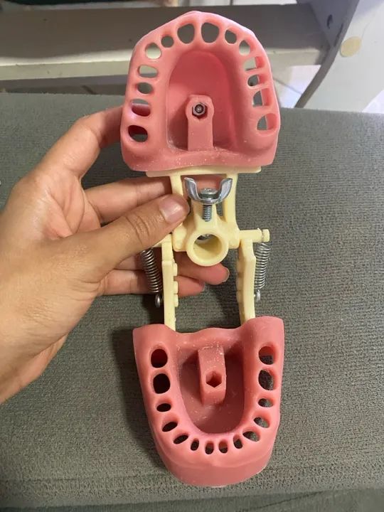 Manequim de endo orais - Foto 5