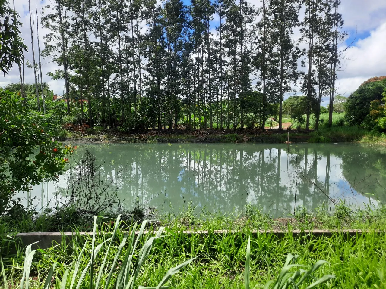 Terreno com 2 tanques para criação e casa em construção.