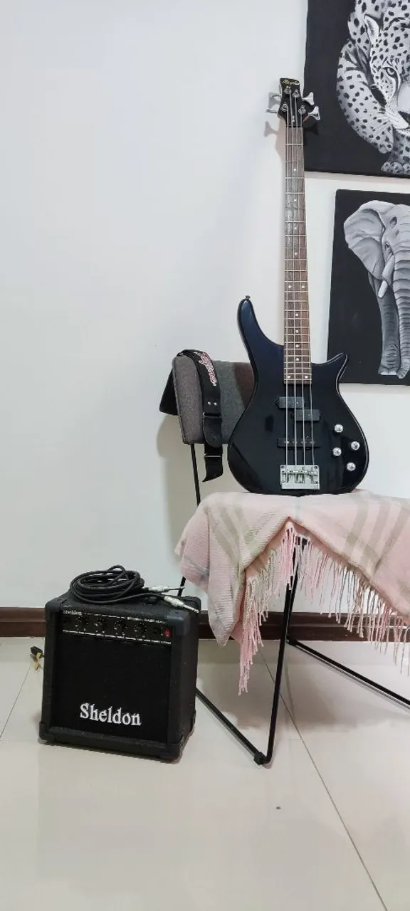 Baixo Elétrico com Amplificador