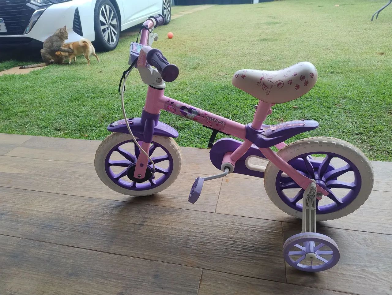Bicicleta Infantil Nathor