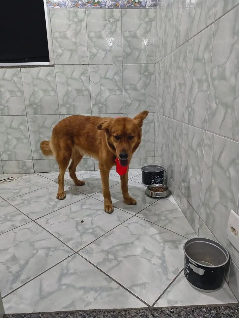 Doação 