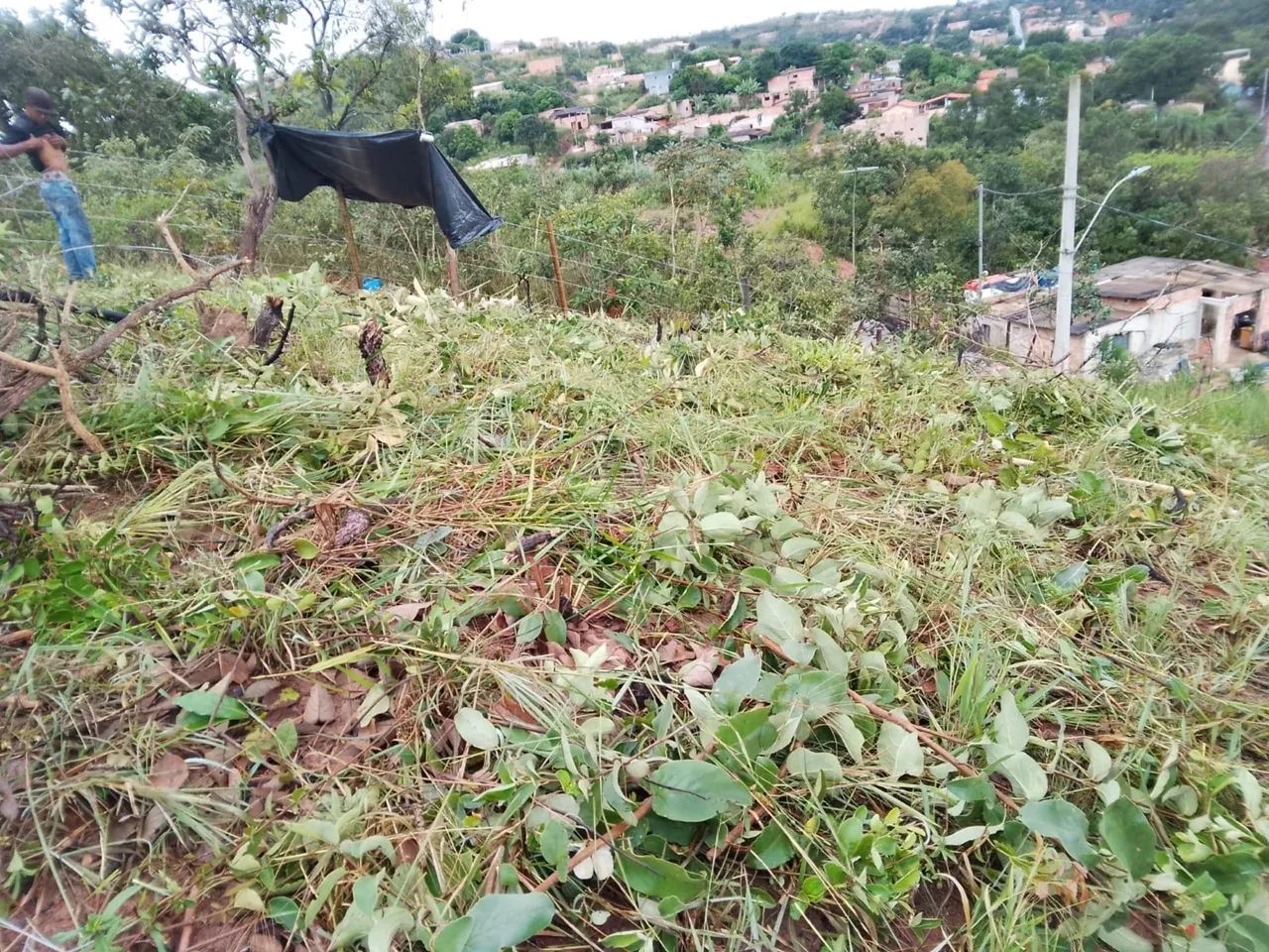 Vendo ótimo lote 360m. - Foto 2