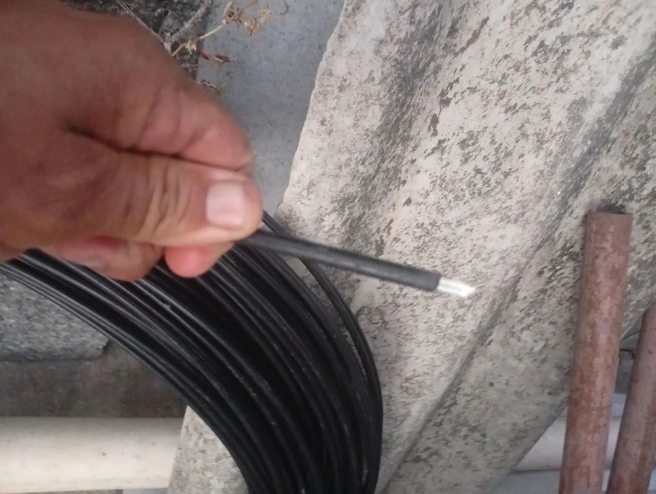 Fibra12fo  - Foto 4