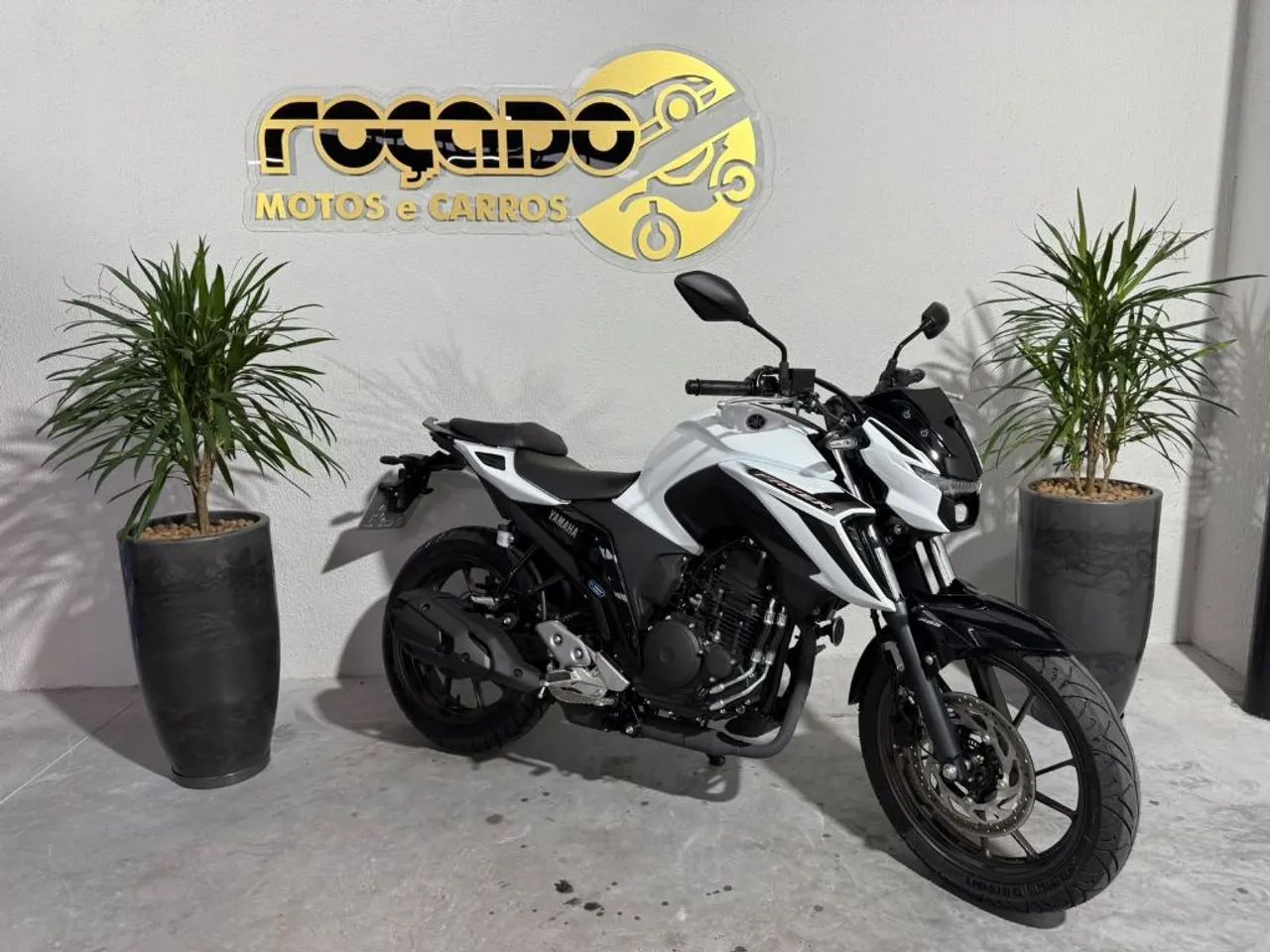 FZ250 FAZER