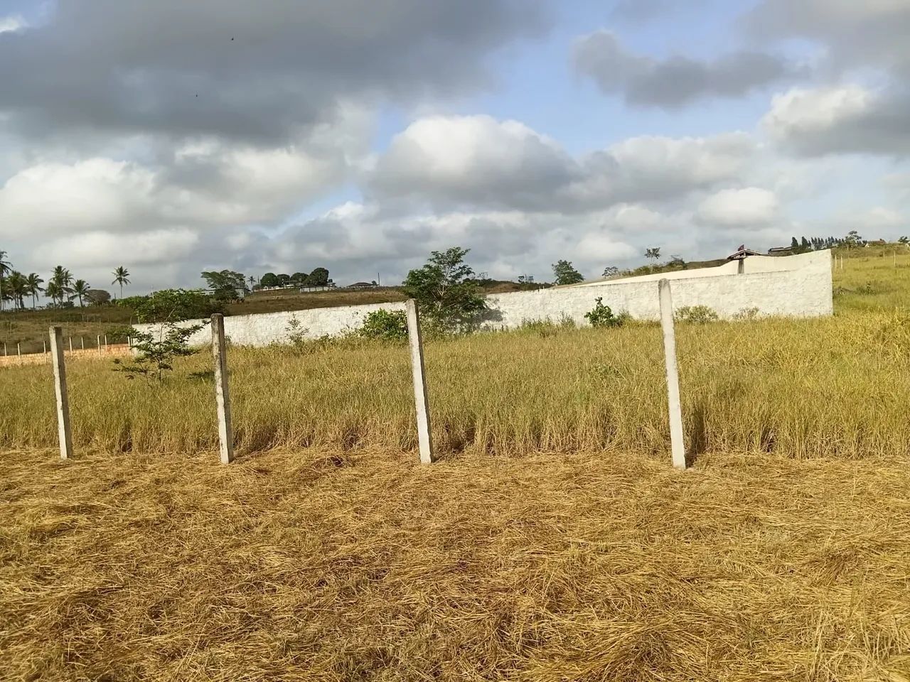 Lote em Salgado - SE - Foto 4