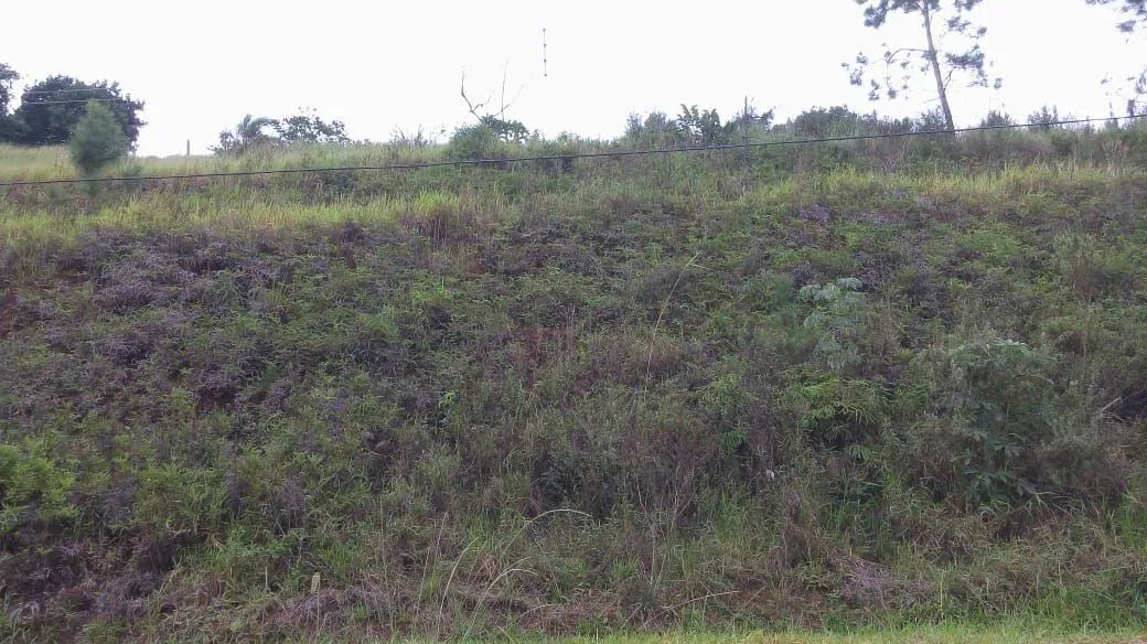 Terreno em Igaratá - Foto 5