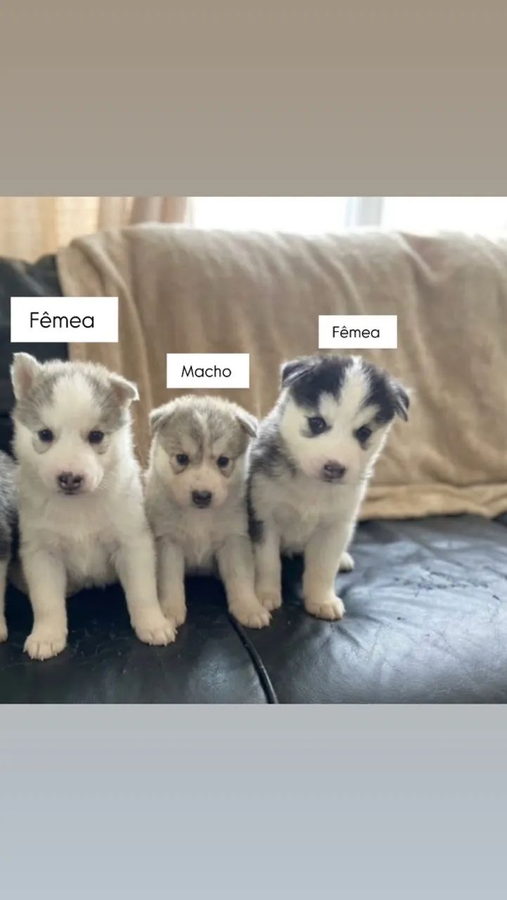 Vende-se 