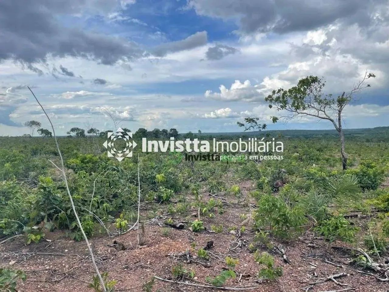 Fazenda de 58 alqueires em estágio de abertura no Tocantins - Foto 2