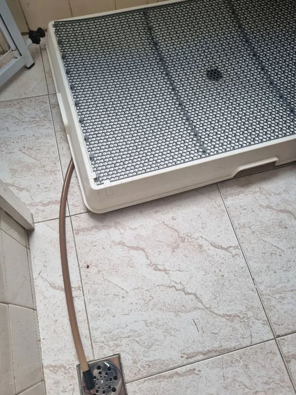 Weasy Cão GRANDE - Banheiro inteligente Usado - Foto 3