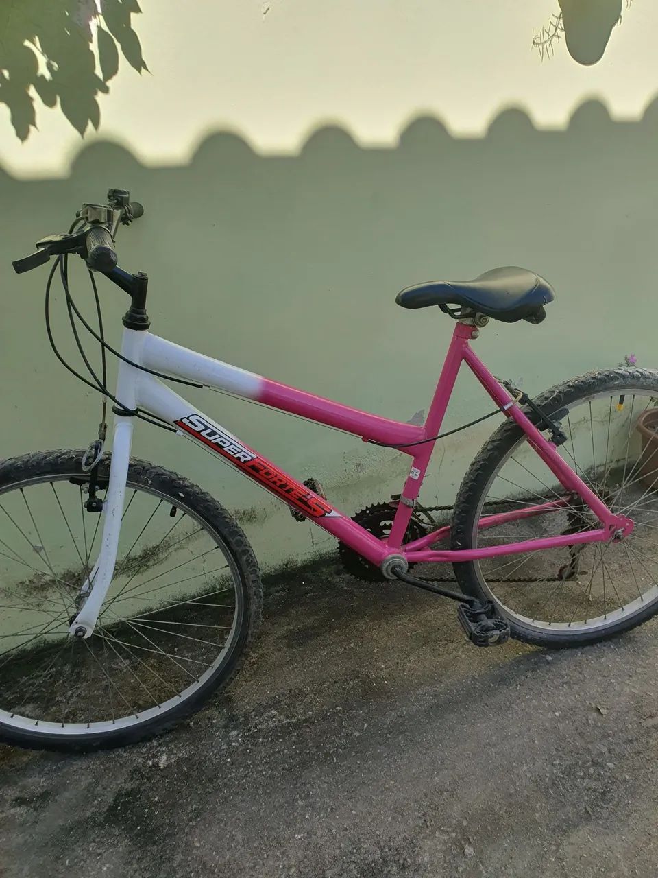 Bicicleta Feminina 
