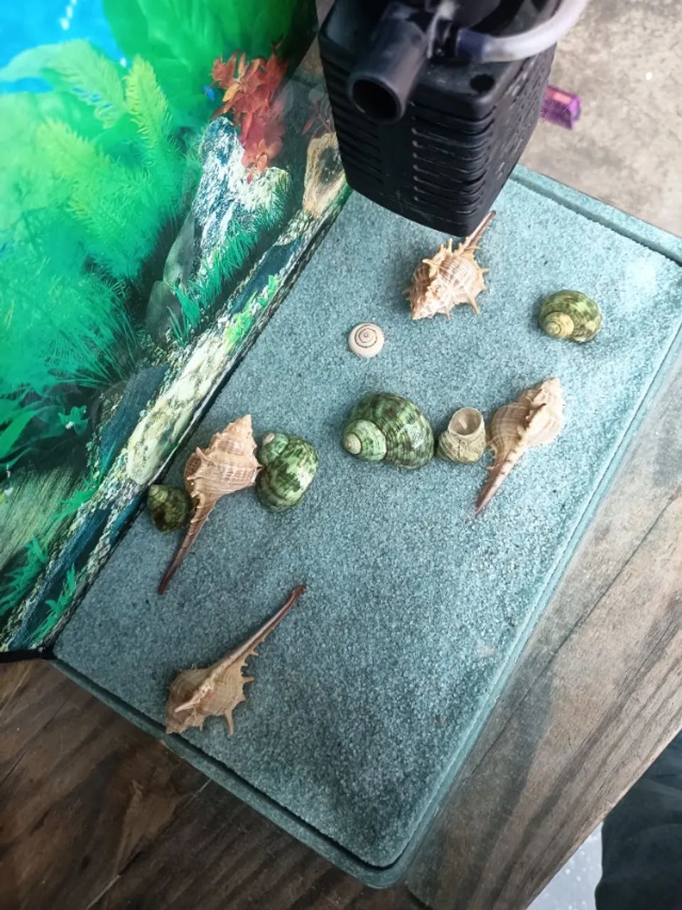 Aquário At 25cm, La 20cm, comp 30cm 