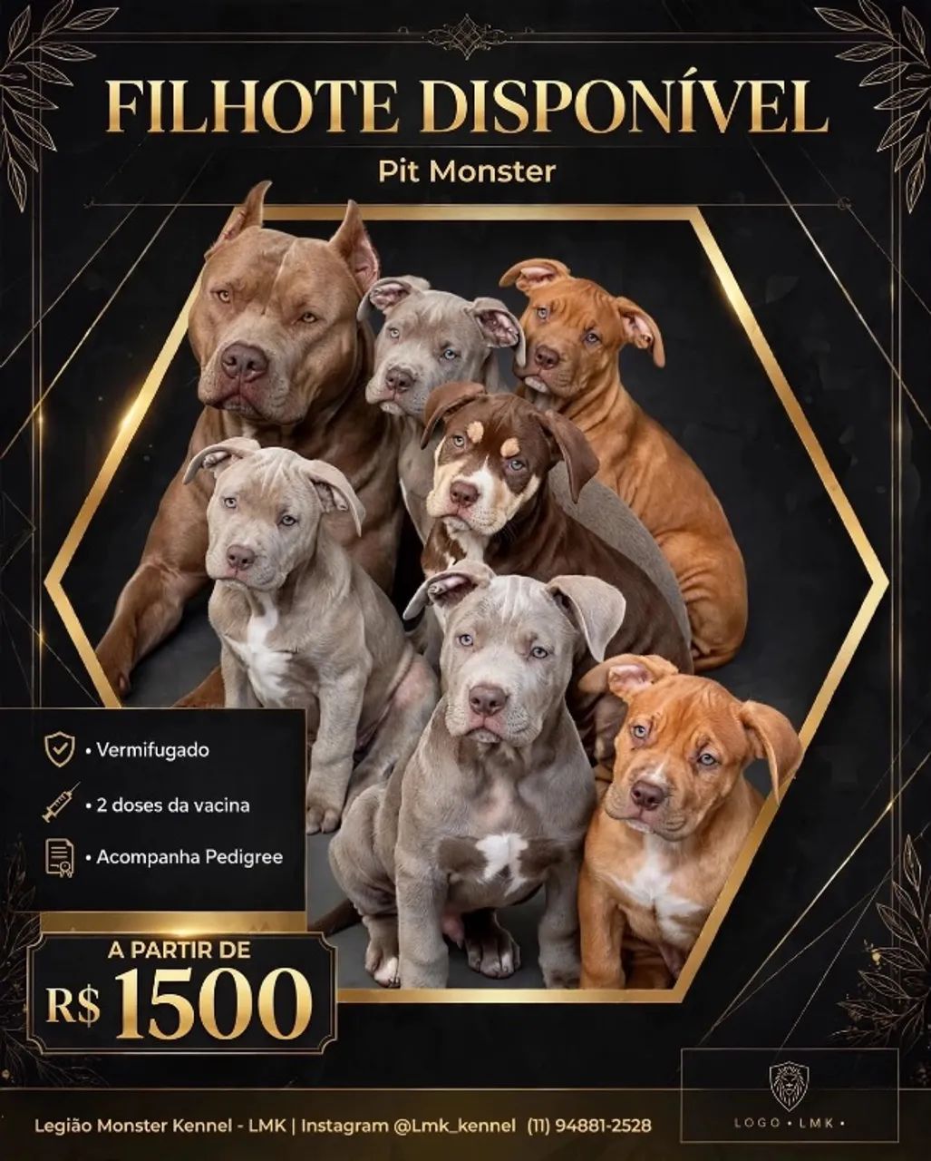Filhotes de pitmonster 