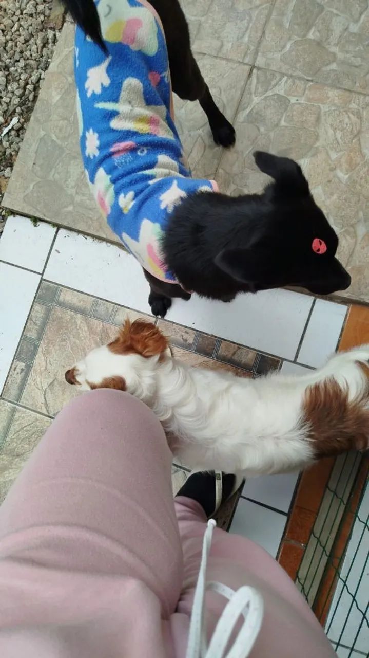 DOAÇÃO RESPONSÁVEL - Foto 3