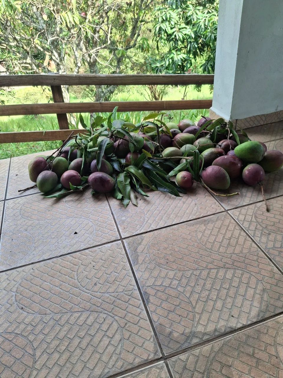 Sitio vendo Jacutinga MG