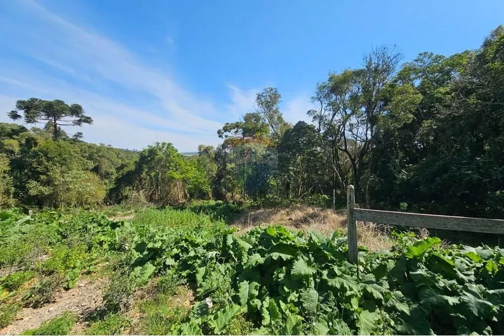 Terreno Rural - Foto 3