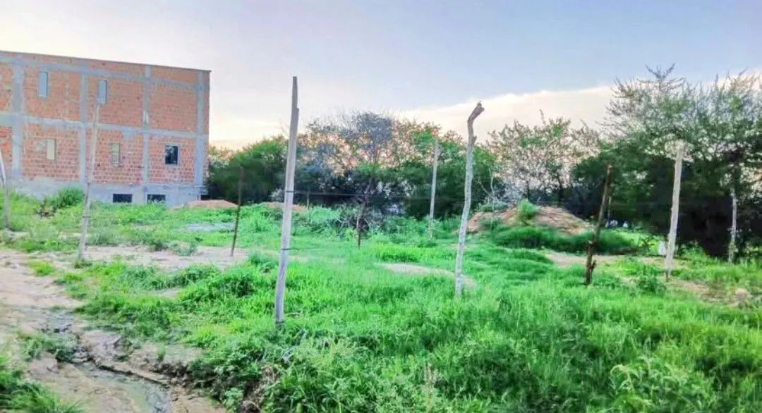 Terreno 
