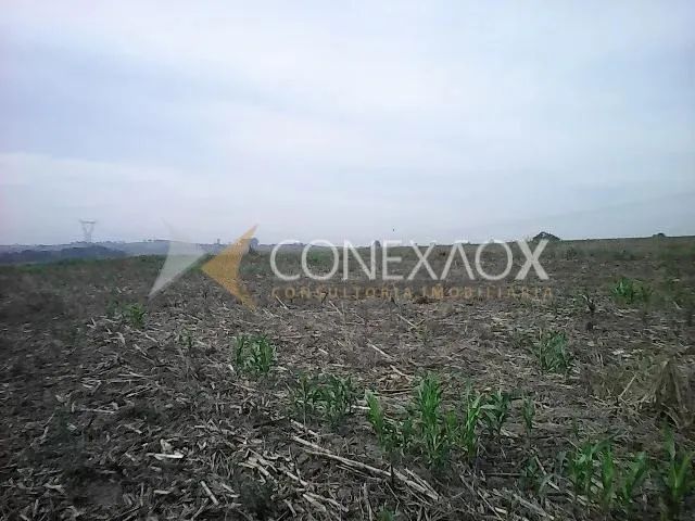 área - Chácara Cruzeiro do Sul - Sumaré - Foto 3